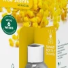 Bolsius geurstokjes True Scents Mimosa 60 ml