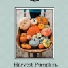 Bridgewater geurzakje Harvest Pumpkin