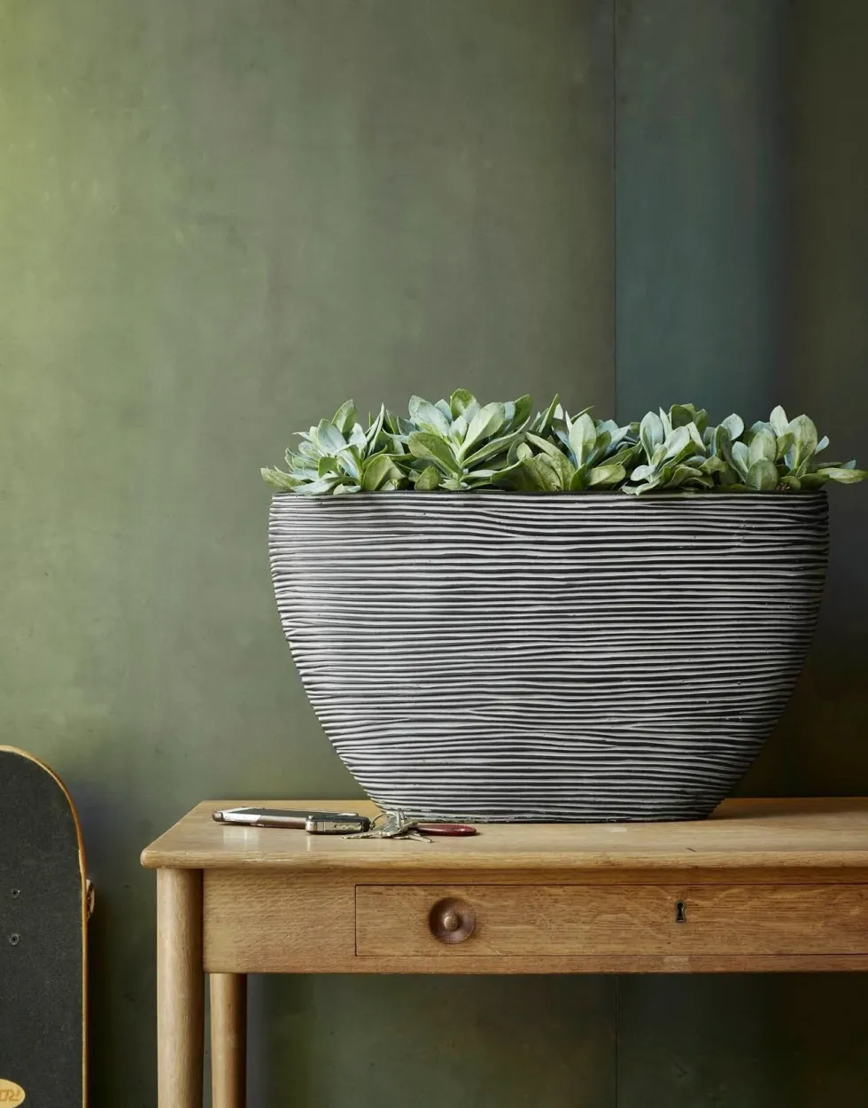 Capi Europe bloempot Nature-Rib zwart 59 x 14 x 35 cm