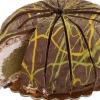 Confetti Maxtris nougatcake dubai 150 gr