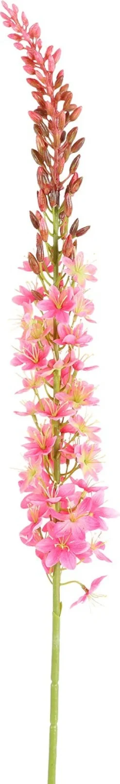 Countryfield kunstbloem Naald van Cleopatra roze H 107 cm