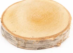 decoratie boomstammen berk D 12 H 2 cm