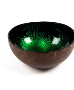 Decoratiebord kokosnoot vuurwerk Coco groen 13 x 7 x 13 cm