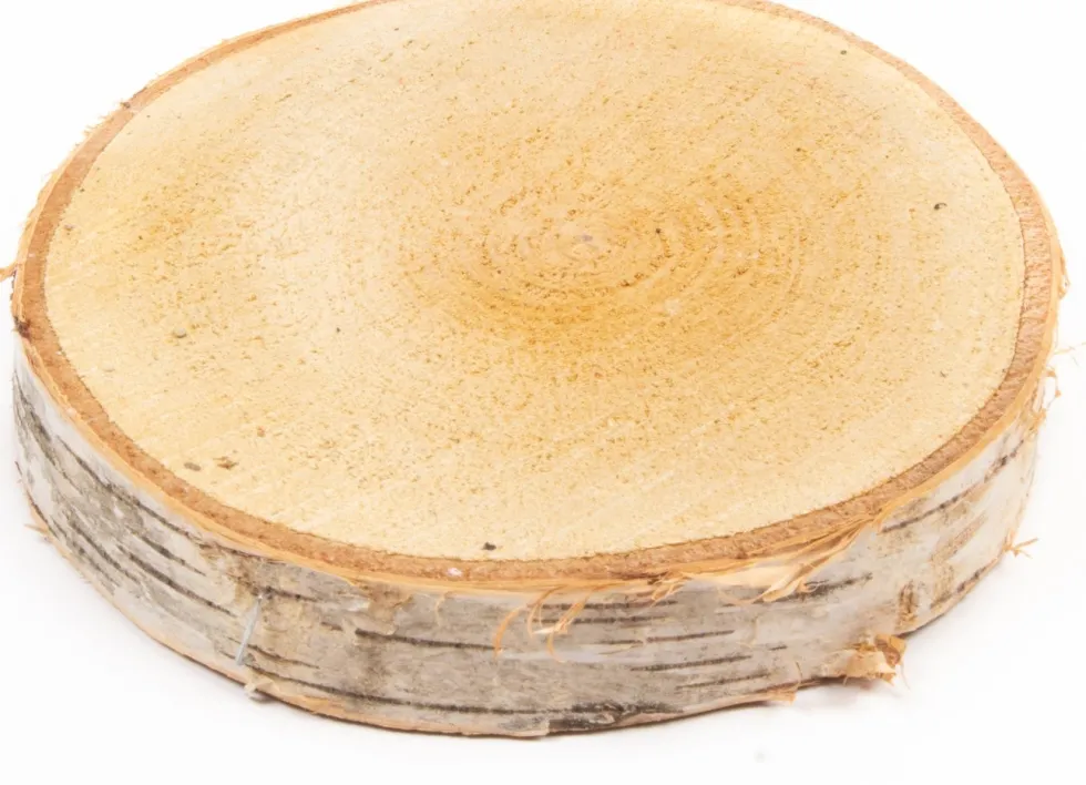 decoratie stammen berk D 25 H 5 cm