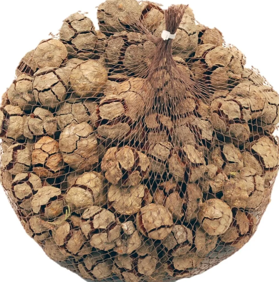 Decoratie takken Cypressus naturel 300 g