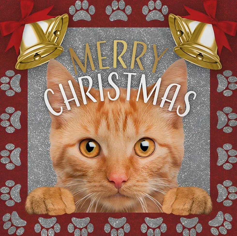 Decoratietegel Kerst kat rood 10,5 x 10,5 cm