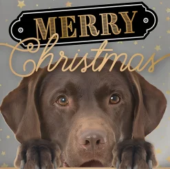 Decoratietegel Kerst labrador 10,5 x 10,5 cm