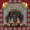 Decoratietegel Kerst teckel ruwhaar 10,5 x 10,5 cm