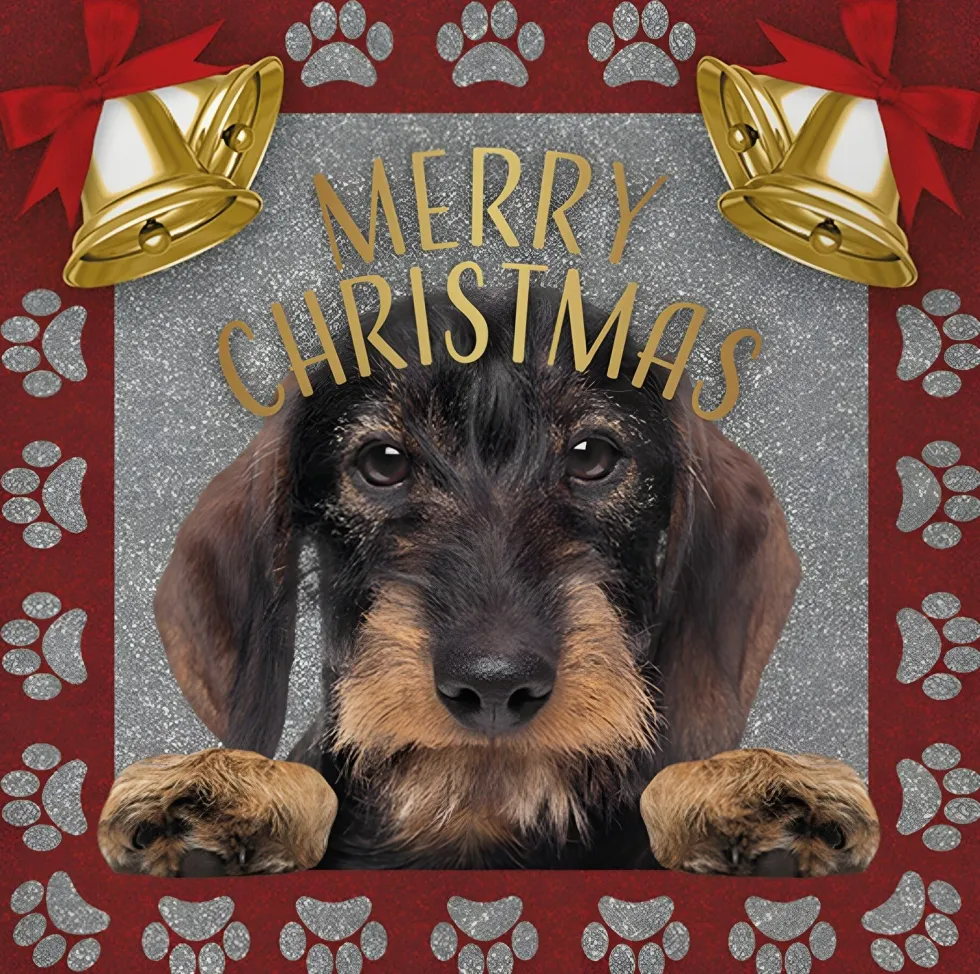 Decoratietegel Kerst teckel ruwhaar 10,5 x 10,5 cm