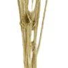 Dijk Natural Collections droogbloemen Anissa distel goud 60 x 22 x 12 cm