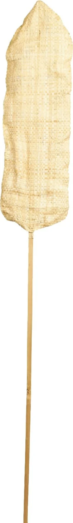 Dijk Natural Collections Kunsttak Palm naturel H 150 cm