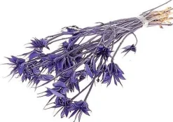 Droogbloemen bos Nigella paars H 35 cm