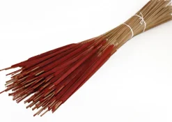 Droogbloemen Rietsigaren (Typha) rood H 60 cm