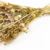 Droogbloemen Veldboeket bruin H 60 cm