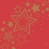 Duni servet Holiday Star rood / goud 40 x 40 cm 12 stuks