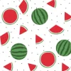 Duni servet Watermelons wit 33 x 33 cm 20 stuks