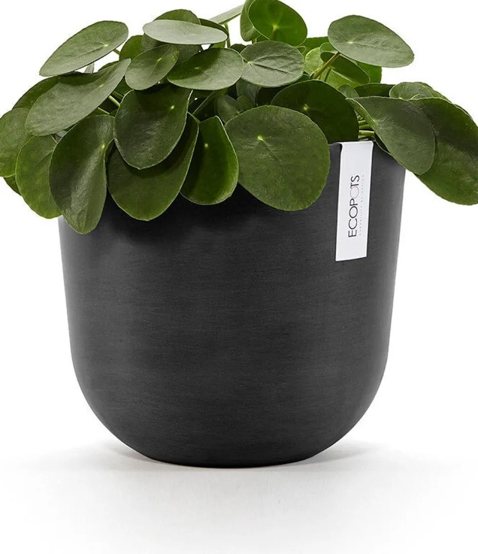 Ecopots bloempot Oslo donkergrijs D 25 H 21,8 cm