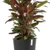 Ecopots bloempot Oslo donkergrijs D 35 H 30,5 cm
