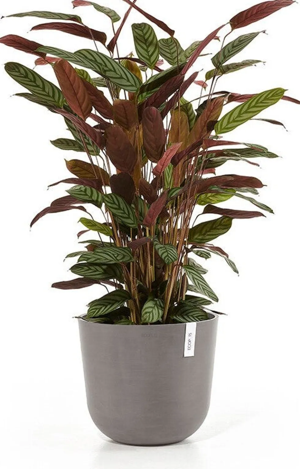 Ecopots bloempot Oslo taupe D 35 H 30,5 cm