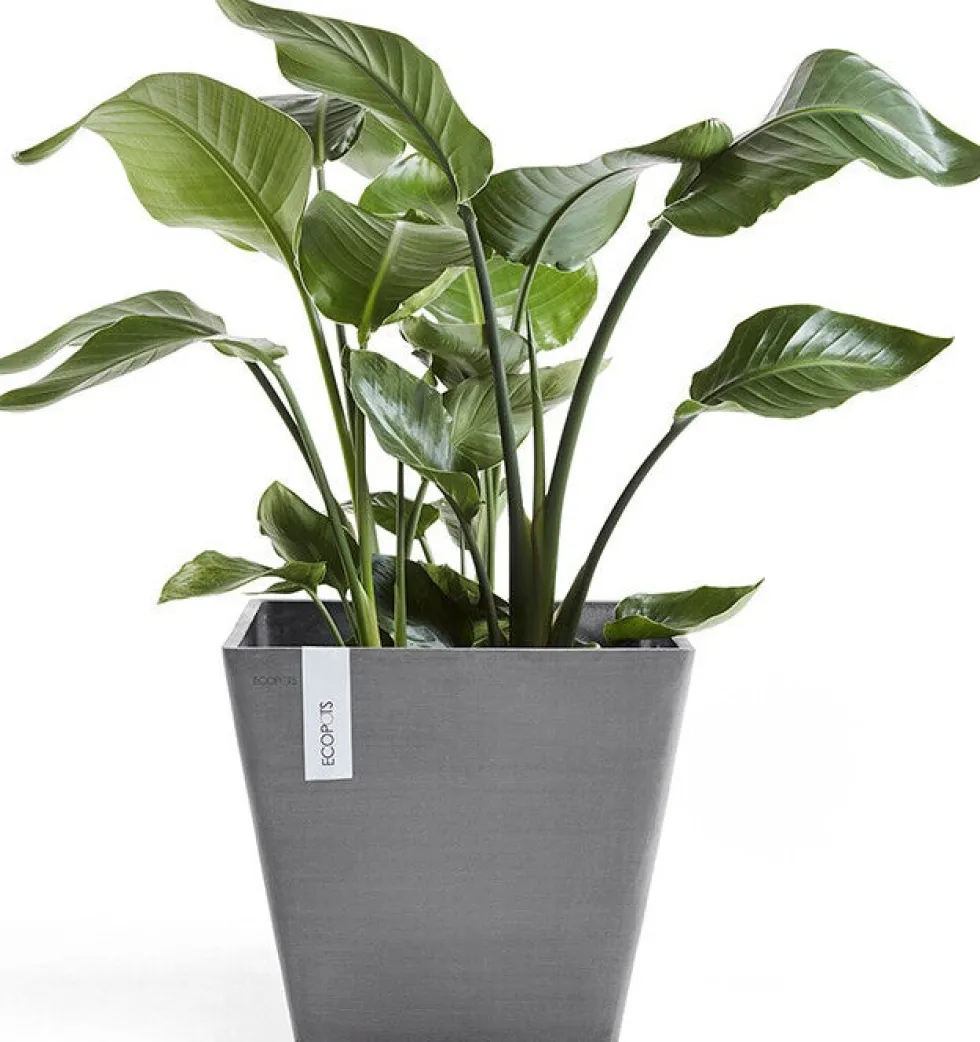 Ecopots bloempot Rotterdam grijs 30 x 30 x 26 cm
