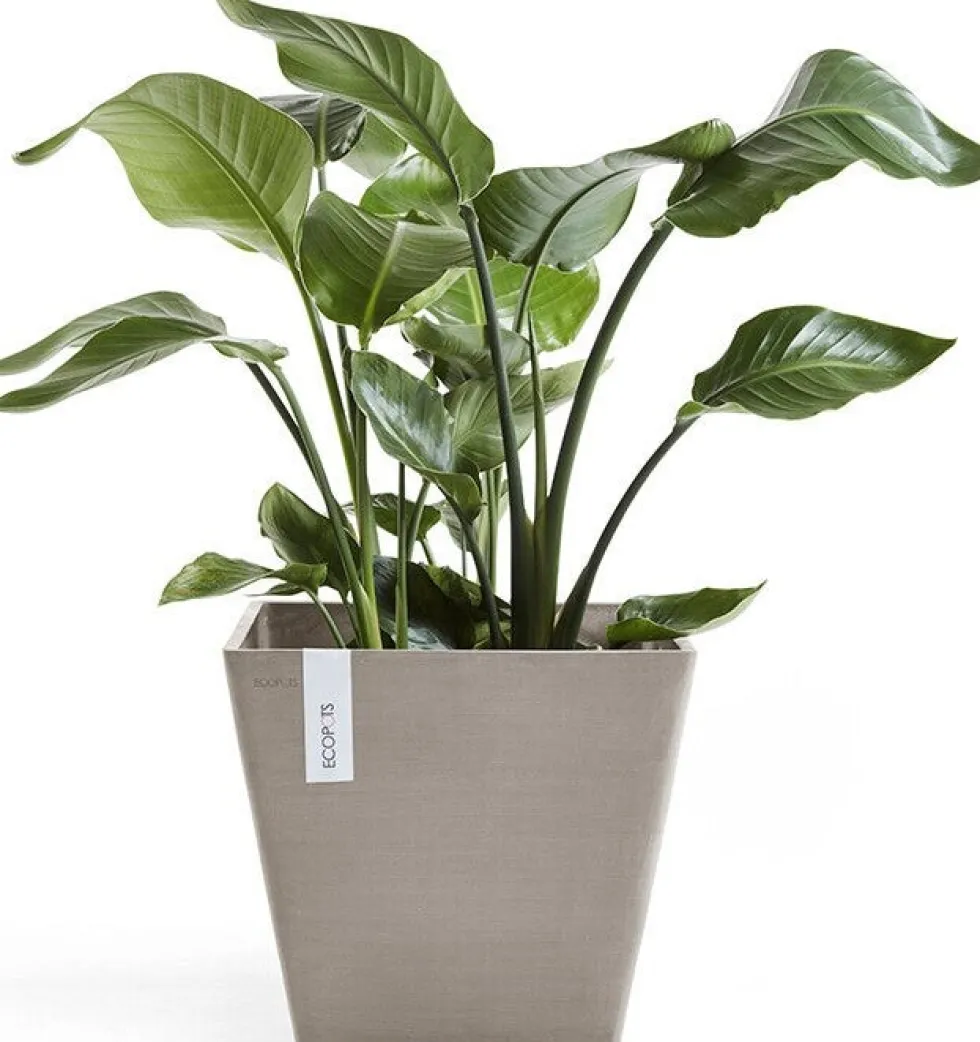 Ecopots bloempot Rotterdam taupe 30 x 30 x 26 cm