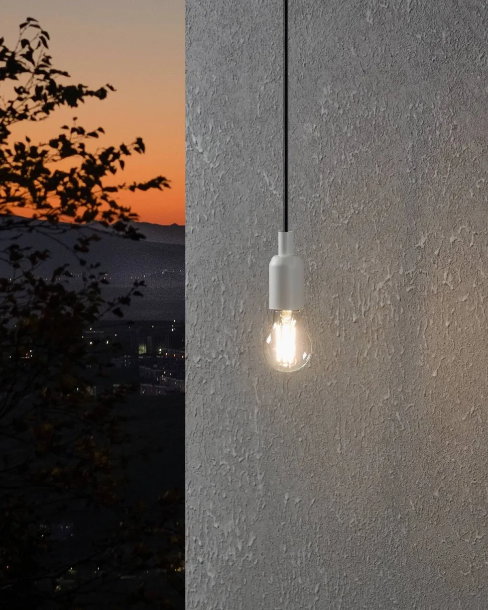 Eglo LED lamp E27 Day & Night warm wit 806 lm 7,3 W A60