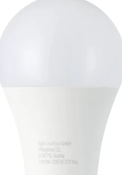 Eglo LED lamp E27 warm wit 830 lm 6,1 W A60