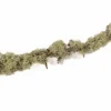 Eikentak met boommos groen H 2 m