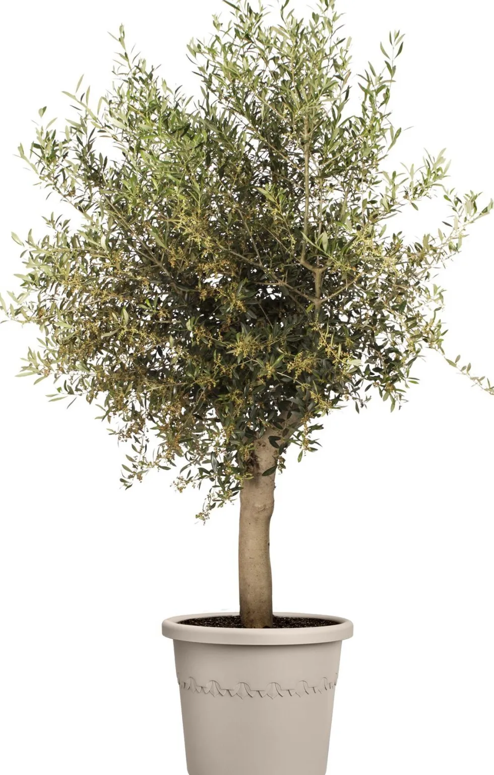Elho bloempot Algarve beige D 35 H 29 cm