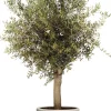 Elho bloempot Algarve beige D 58 H 48 cm