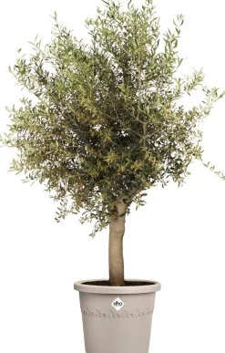 Elho bloempot Algarve beige D 58 H 48 cm