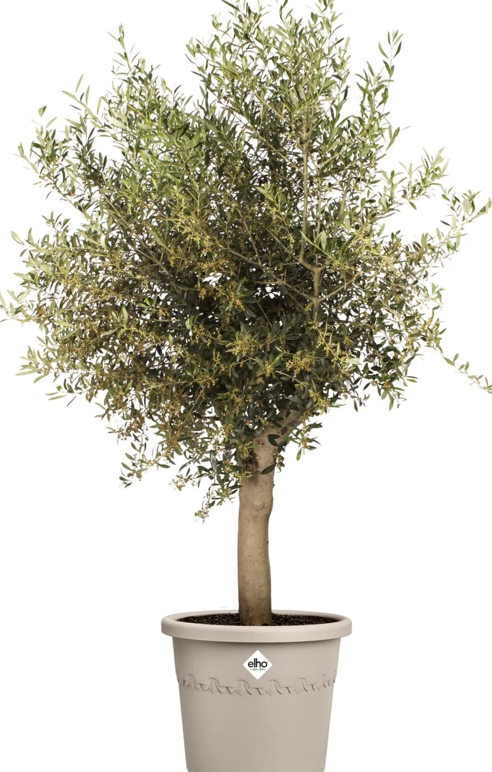 Elho bloempot Algarve beige D 58 H 48 cm