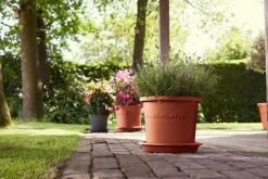 Elho bloempot Algarve terracotta D 24,5 H 20,8 cm