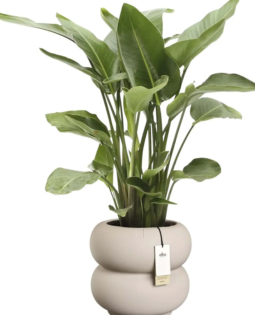 Elho bloempot Amber Roll beige D 43 H 40 cm