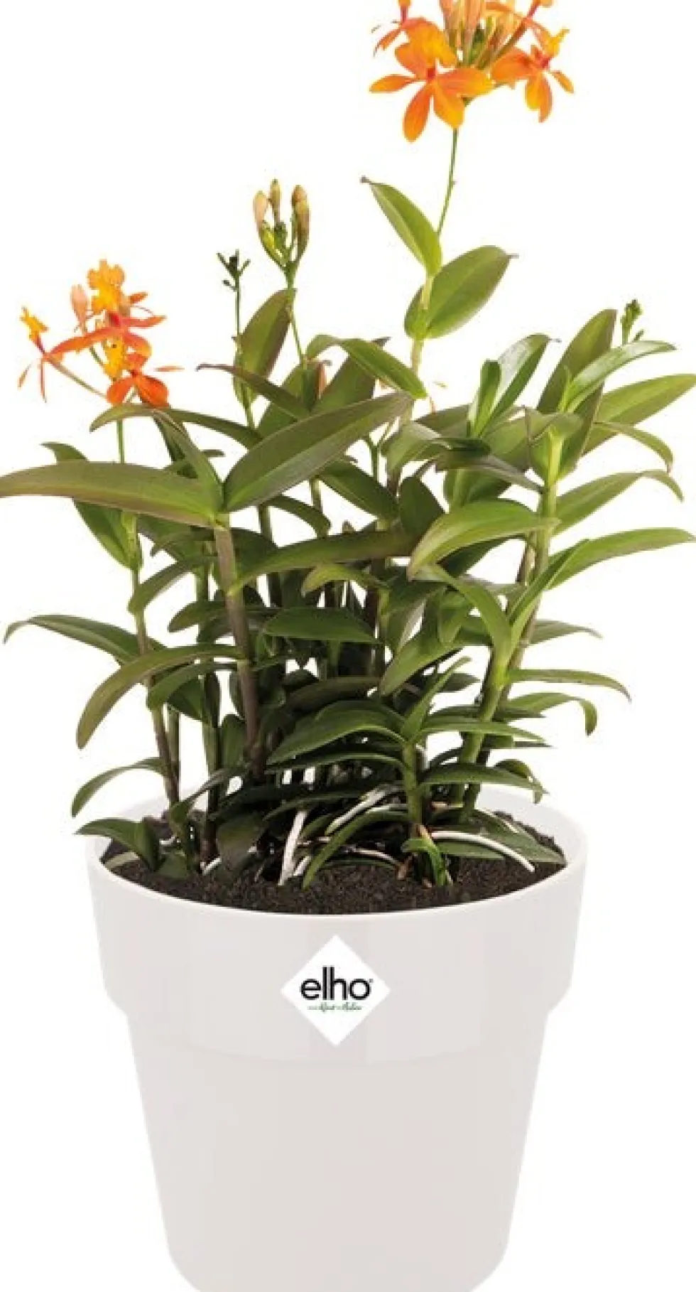 Elho bloempot B for original rond D 16 H 14,6 cm wit