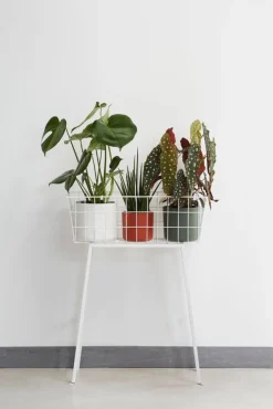 Elho bloempot B. for soft wit D 16 H 15 cm