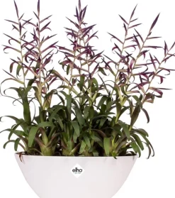 Elho bloempot Brussels wit 36 x 16 x 13,1 cm