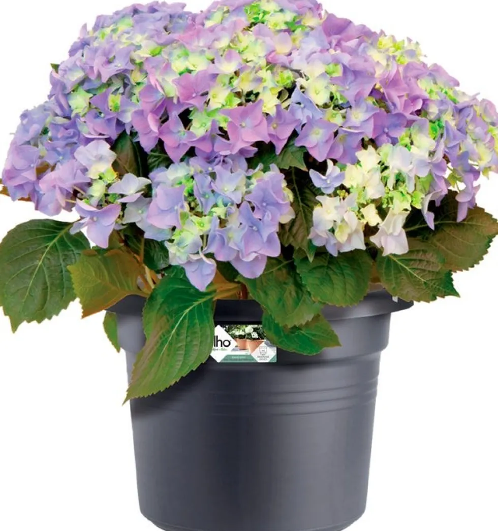 Elho bloempot Green Basics zwart D 34,3 H 26,8 cm