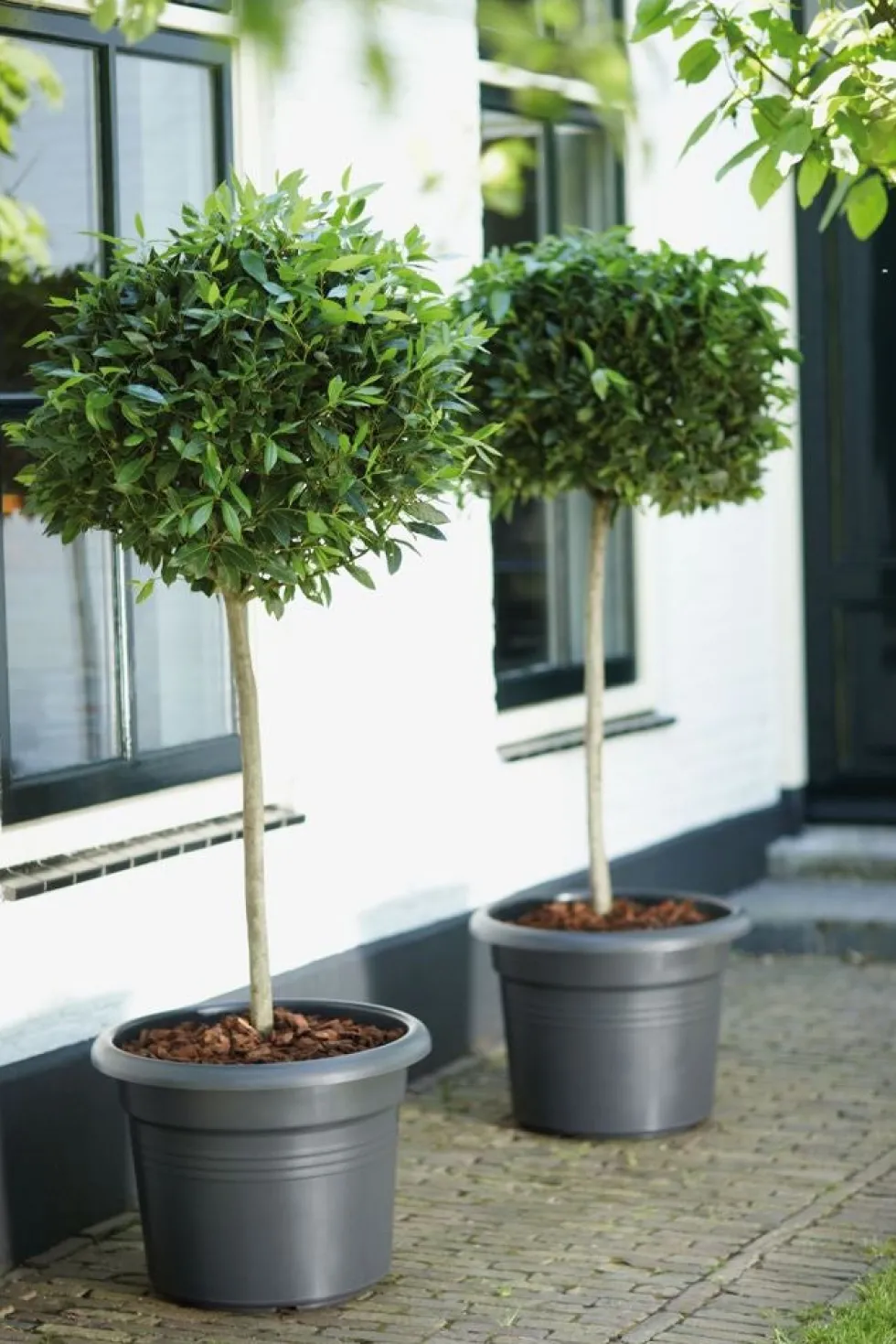Elho bloempot Green Basics zwart D 34,3 H 26,8 cm