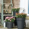Elho bloempot Green Basics zwart D 23 H 19,6 cm