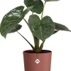 Elho bloempot Jazz rood D 23,1 H 21,5 cm