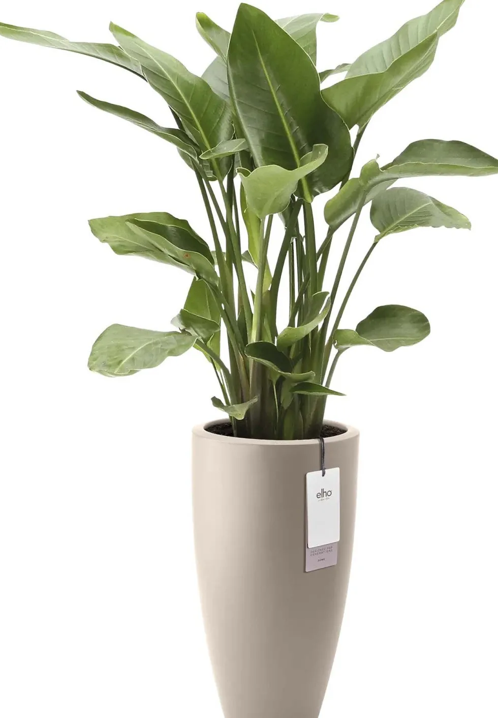 Elho bloempot June Round beige D 30 H 53 cm