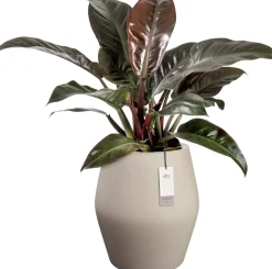 Elho bloempot June Split beige D 46 H 53 cm