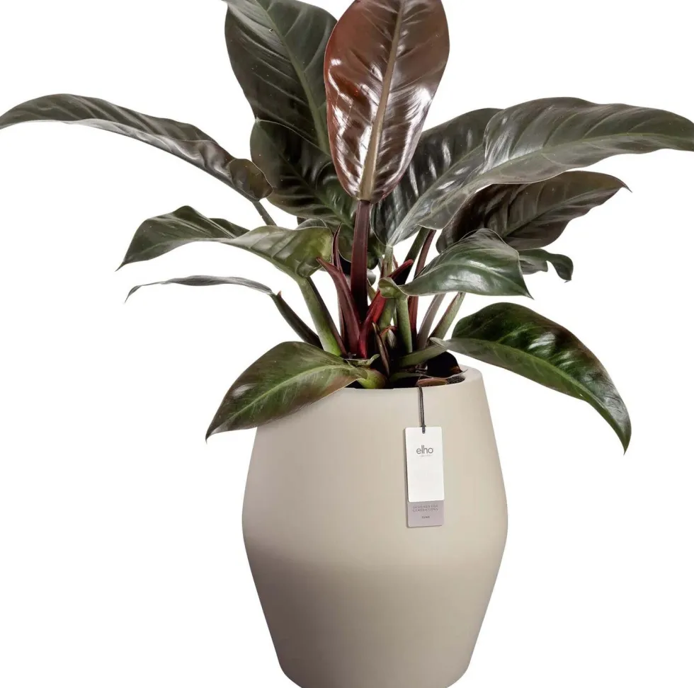 Elho bloempot June Split beige D 46 H 53 cm