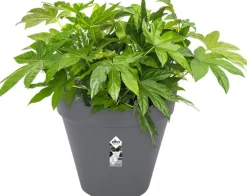 Elho bloempot Loft Urban antraciet D 48,5 H 44,5 cm