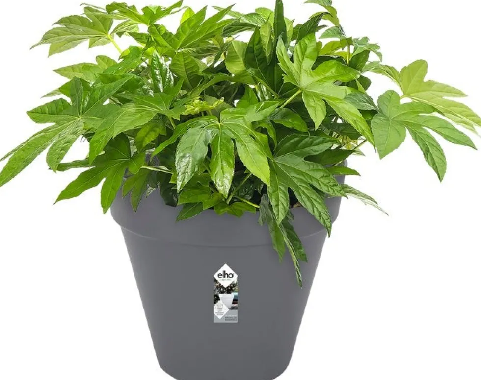 Elho bloempot Loft Urban antraciet D 48,5 H 44,5 cm