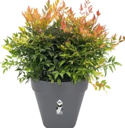 Elho bloempot Loft Urban antraciet D 38,5 H 35,3 cm
