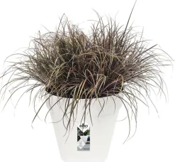Elho bloempot Loft Urban wit D 28,5 H 26 cm