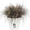 Elho bloempot Loft Urban wit D 38,5 H 35,3 cm