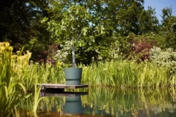 Elho bloempot met waterreservoir Greenville groen D 50 H 55 cm